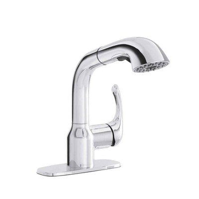 Dunning Single-Handle Pull-Out Laundry Utility Faucet w/Dual Spray Function inC