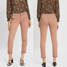 New Anthropologie Reiko Sandy 2 Basic Chino Pants Nude Rose 27 Pink