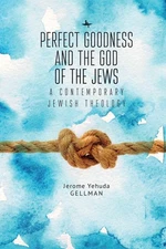 Perfect Goodness and the God of the Jews: A Contemporary Jewish Theology by Jero