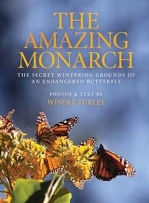 Amazing Monarch: The Secret Wintering Grounds of an Endangered Butterfly by Wind