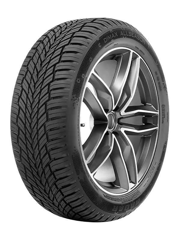 Radar Dimax Allseason 215/45R17 91W Xl Mfs Bsw - Bild 2