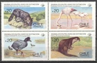 (178200) Birds, Animals, Chile