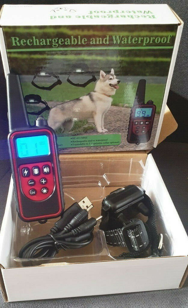 Collier de dressage pour chien pour les balades en forêt et au parc