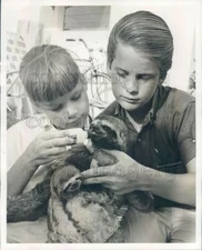 1965 Press Photo Boy & Girl Bottle Feed Cute Baby Sloth