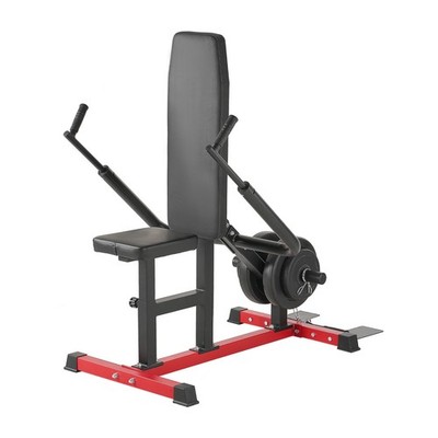 Seated Dip Machine Tricep Bicep Press Down Cable Bar Chest Training