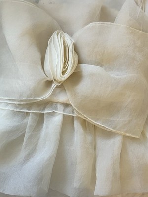 Zara New With Tags Top! Beautiful Cream