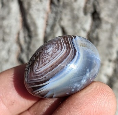 Botswana Agate, Beautiful Polished 26g Layered Multi Eye Botswana Agate