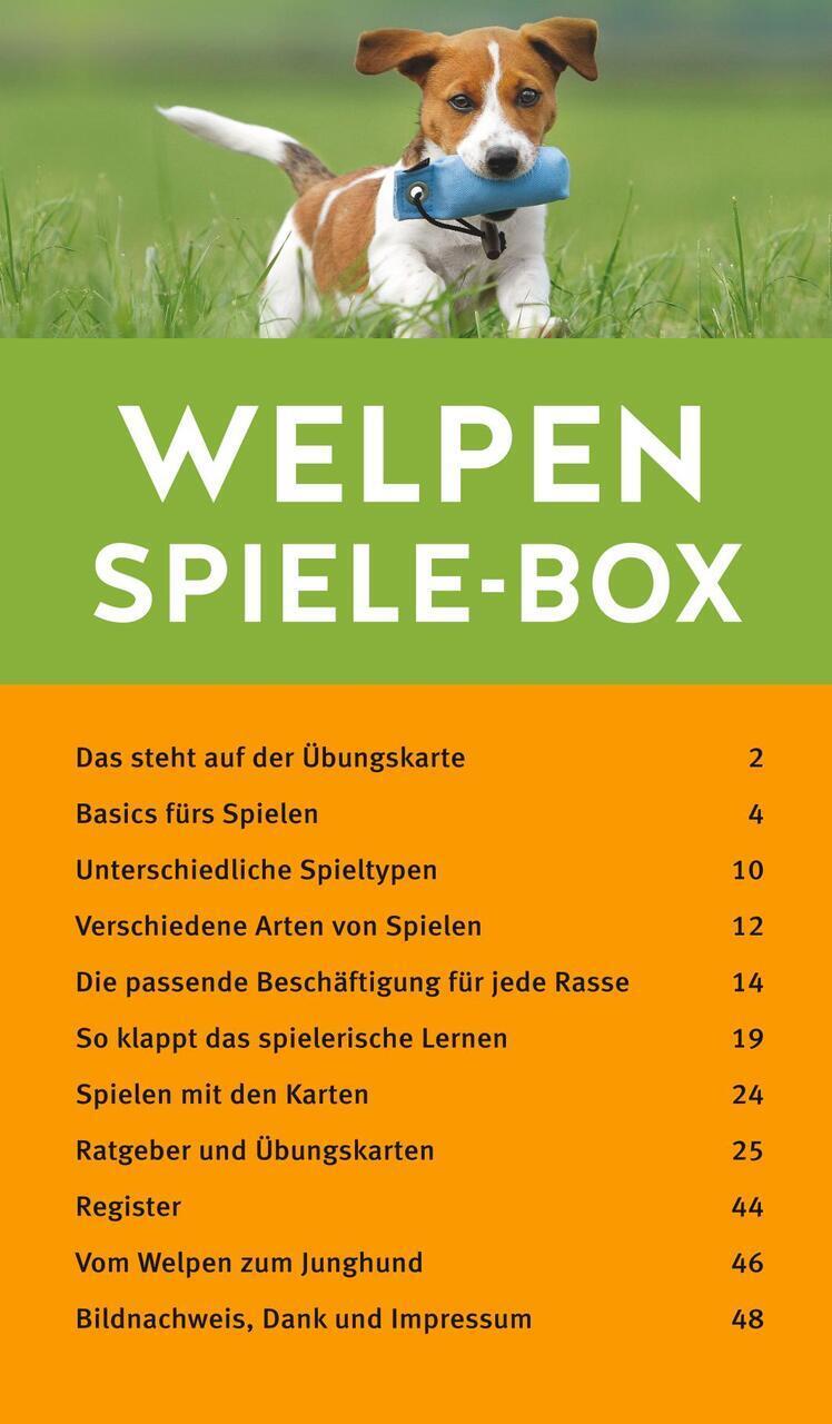 Thumbnail - Welpen-spiele-box Alexandra Taetz