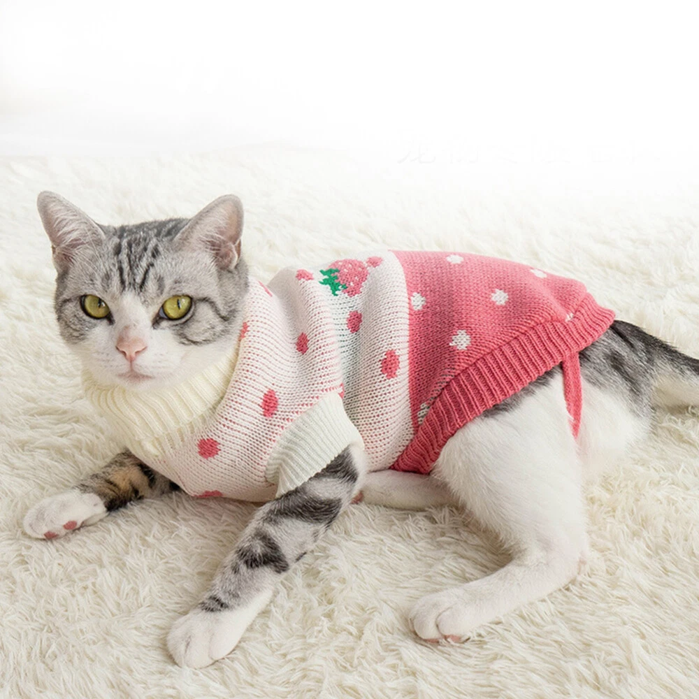 VETEMENTS Maglione caldo cappotto in maglia per animali domestici vestiti per gatti adorabile costume per gatti