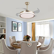 Indoor Ceiling Fan Light with Remote Control, Ceiling Fan Lamp for Bedroom