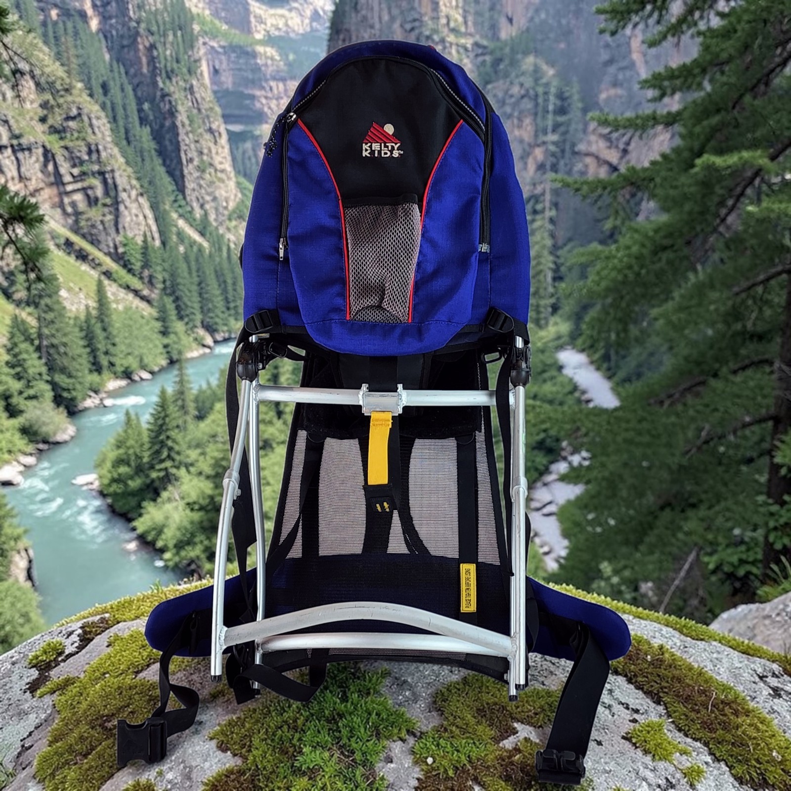 Kelty Kids Meadow Blue Stand Up Baby Child Carrier Backpack Outdoors Hiking