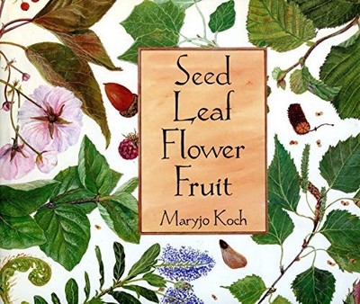 Seed Leaf Flower Fruit - ACCEPTABLE
