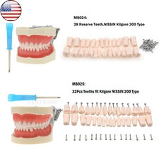 US Dental Kilgore NISSIN 200/500 Type Typodont Model Screw-in Removable Teeth