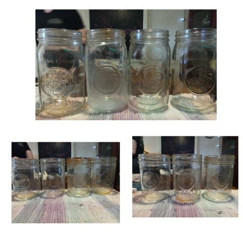 Vintage Golden Harvest Mason Jars eBay