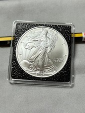 1 oz American Silver Eagle 2006 W Burnished not boxed - one silver dollar USA US