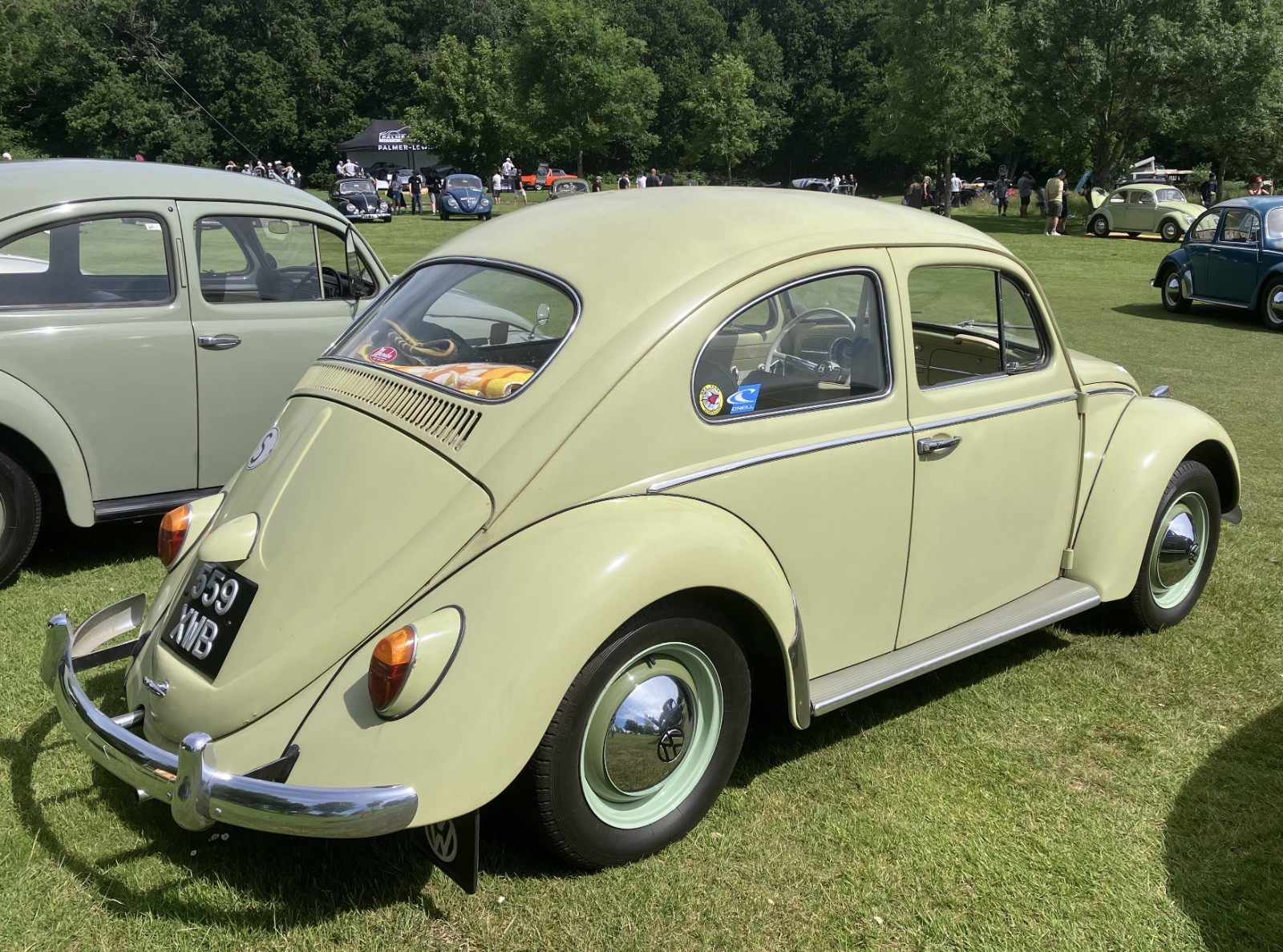1962 Volkswagen Beetle Beryl Green Original Unrestored From Sweden