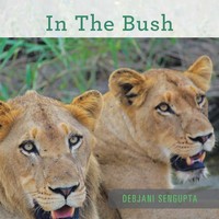 In The Bush Debjani Sengupta Taschenbuch Kartoniert / Broschiert Englisch 2019