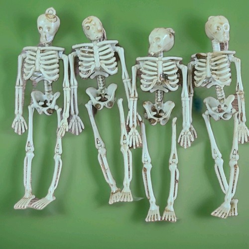 4 Mini Skeleton Figurines 6 Inch Mini Plastic Skeletons Halloween Craft ...