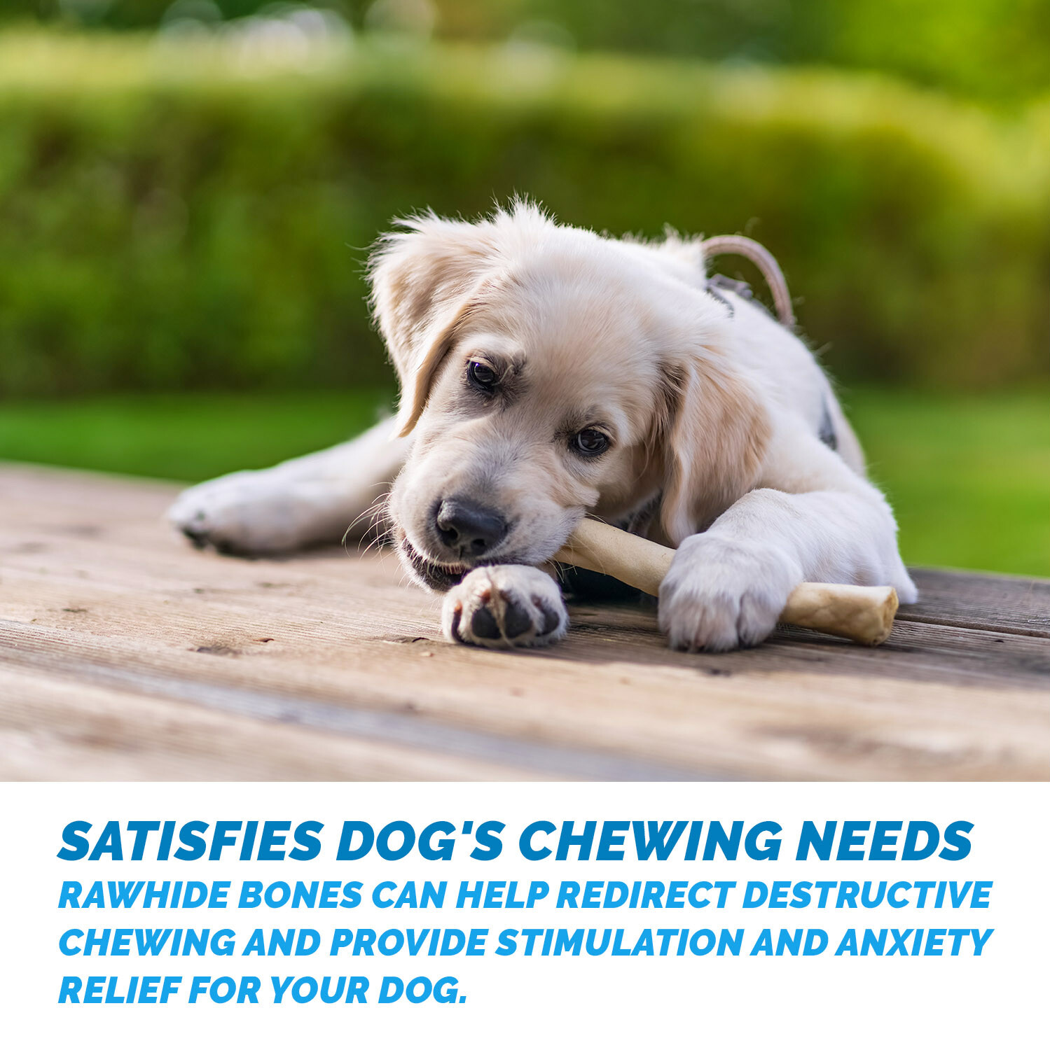 Rawhide Retriever Roll 910" 100 Natural BeefHide Rolls for dogs 123 Treats eBay