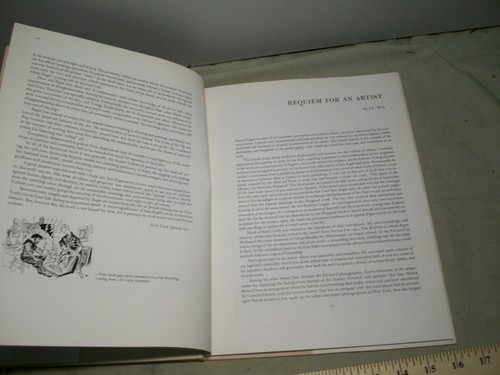 ZAGET Art Political Cartoons History Jewish New York City Lower East Side - Picture 5 of 12