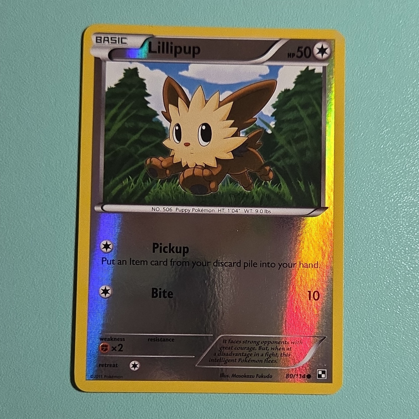 The Pokemon Company Lillipup 80/114 B&W Reverse Holo Common Eng 50HP