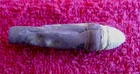 EXCAVATED  .54 CALIBER BURNSIDE BULLET (PORT HUDSON)