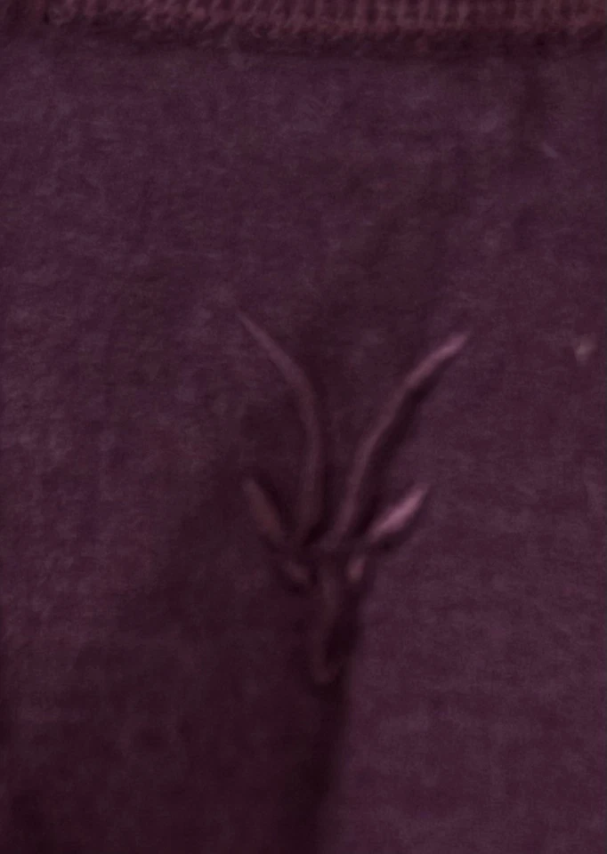 Chaqueta Ibex Mujer Med Lana Merino Medio Presión Ropa Activa Púrpura Manga Larga Senderismo Foto 3 de 4