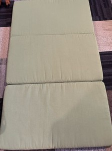 West Elm outdoor cushion Double Lounge Chaise Cushions set of 2 In Green