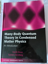 Many-body Quantum Theory in Condensed Matter ...
