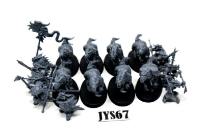 Warhammer Lizardmen Saurus Knights - JYS67