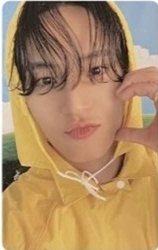 SEVENTEEN SEVENTEENTH HEAVEN STANDARD CARAT ver. OFFICIAL PHOTO CARD - Picture 111 of 130