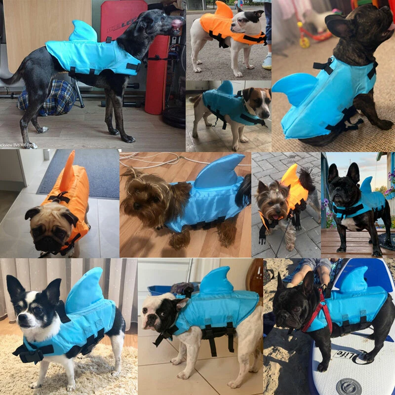 Shark vest for dogs cheap
