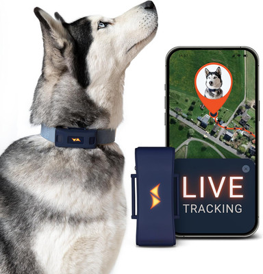 PAJ GPS Tracker Für Hunde 4G - Inkl. 3 Monate Premium ABO - Weglaufalarme + Welt