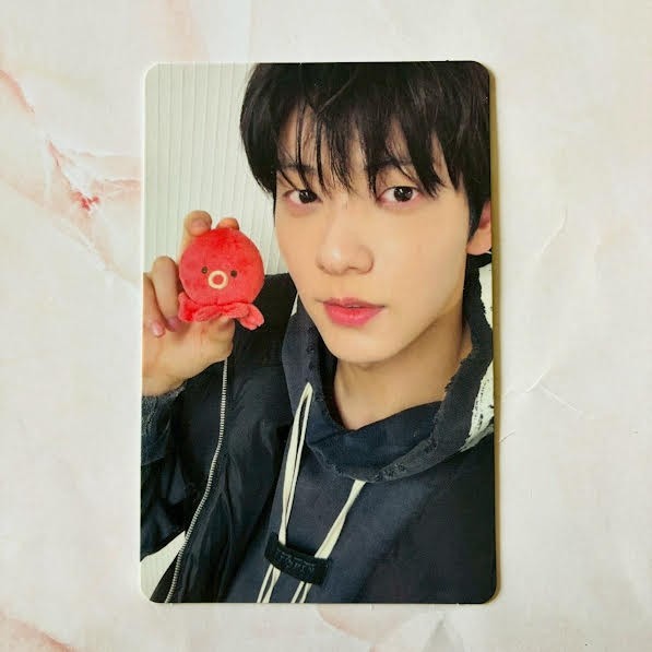 TXT 7TH YEAR:A Moment of Stillness in the Thorn 8th Mini Album