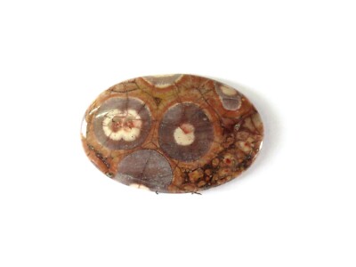 Bird Eye Jaspis/Jasper Cabochon 62,6x41,3 mm 127 ct. Nr. U27259E
