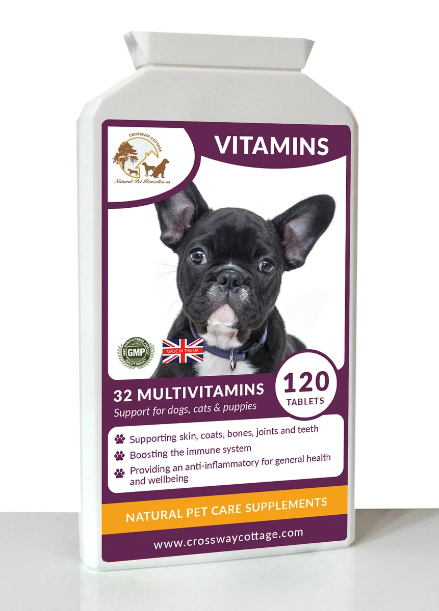 Best multivitamin for english bulldog 2025