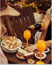 One Veuve Clicquot Orange Acrylic Champagne Flute Goblet
