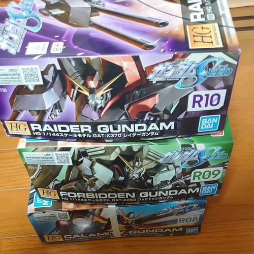 Forbidden Gundam Raider Gundam Calamity Gundam (1 144 HG Mobile Suit Gundam SEED