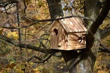 Eichhörnchenkobel Eichhörnchenhaus Eichhörnchen Kobel Nistkasten Holz Geflammt