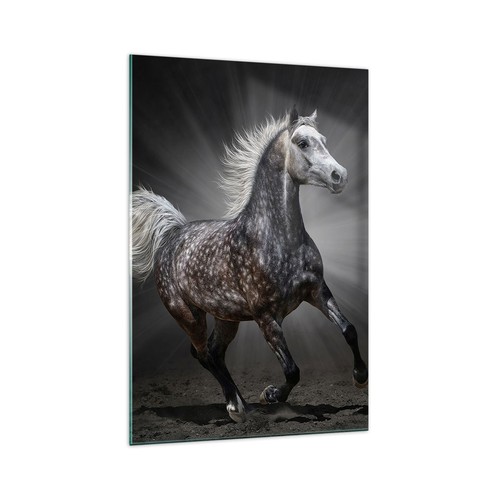 Impression sur verre - Image sur verre - Un cheval noir galopant sur le sable en noir et