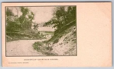 Le Sueur Minnesota~Le Sueur Creek Driveway~c1905 B&W Postcard