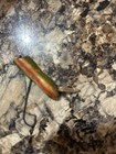 Vintage Pflueger Wizard Wiggler Minnow Antique Fishing Lure — photo 3