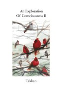 Tekkan | An Exploration Of Consciousness II | Taschenbuch | Englisch (2020)