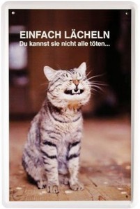 Fun Blechschild 20x30 Katze Spruch Einfach lächeln du kannst nicht alle