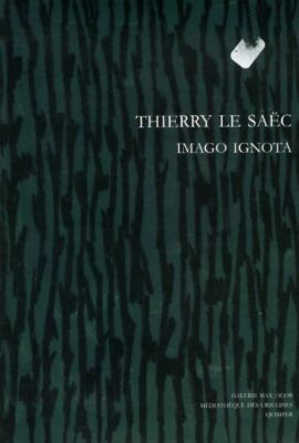 Imago Ignota - Thierry Le Saëc - V203476