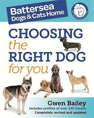 battersea dogs home for sale