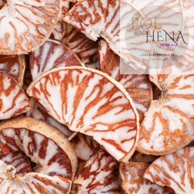 Areca Nuts Slices 1 oz Dried Betel Nuts Herb Natural Areca Palm Organic Catechu