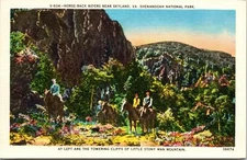 Horse Back Riders near Skyland VA Shenandoah Ntl Park Postcard unused 1930s/40s