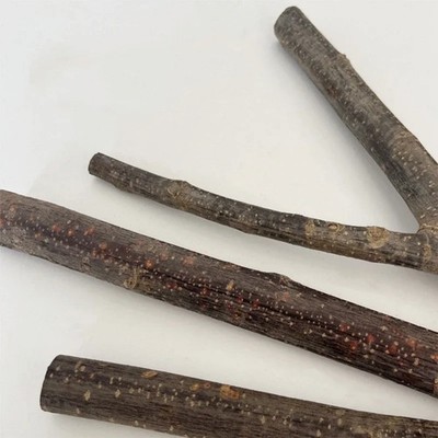 Holz Vogel Sitzstange Käfig Zubehör Spielzeug für Papageien Sittiche Stehbrett