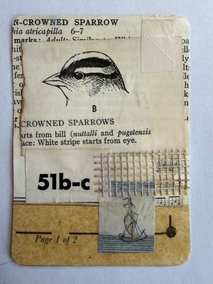 ACEO Original Bird Abstract Mixed Media Textured Collage OOAK